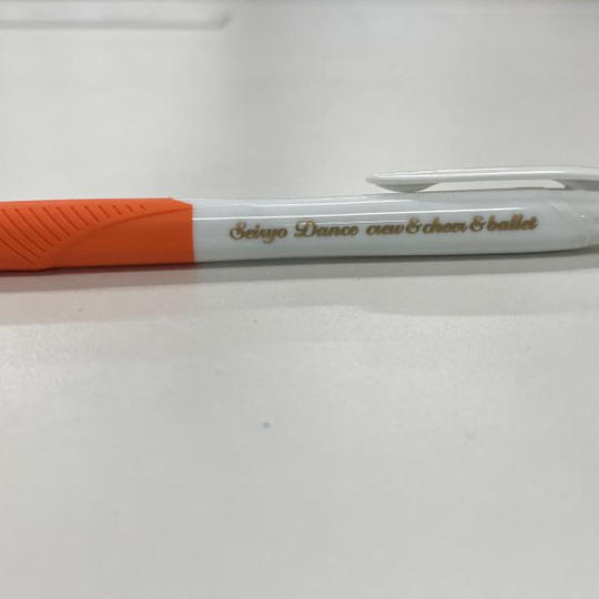 【エコ紙クリアファイル（2枚組・青稜ダンス部名入り）】＋【ボールペン（青稜ダンス部名入り）】