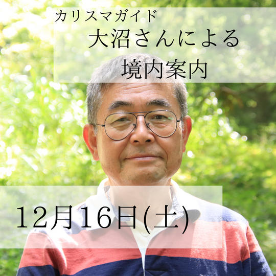 本堂特別参拝・ガイド付き境内案内 12月16日