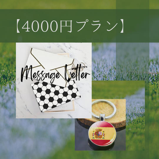 4000円プラン
