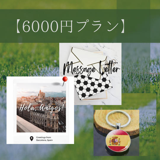 6000円プラン