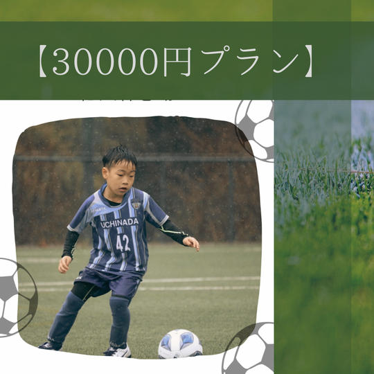 30000円プラン