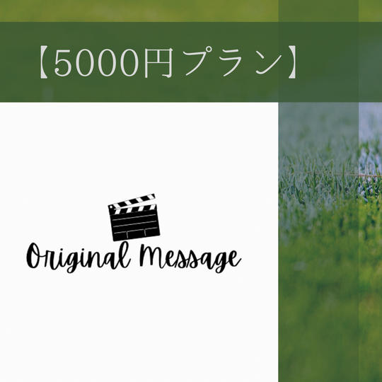 5000円プランB