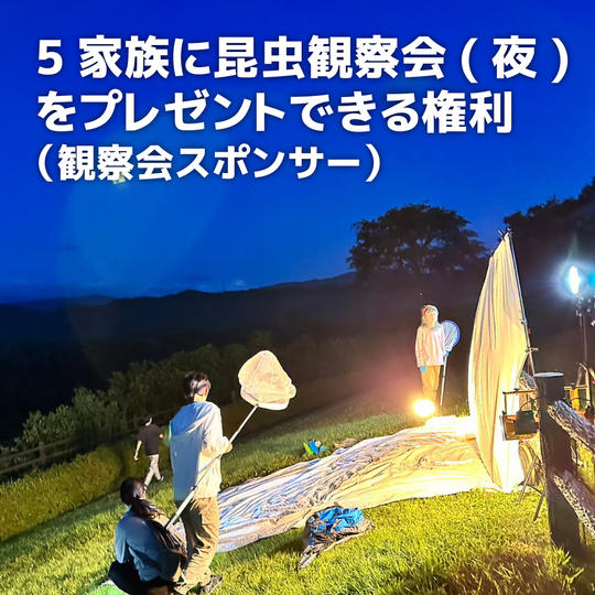 5家族に紀美野町での昆虫観察会(夜)をプレゼントできる権利(観察会スポンサー)