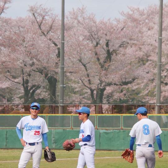 タオル・メッセージ