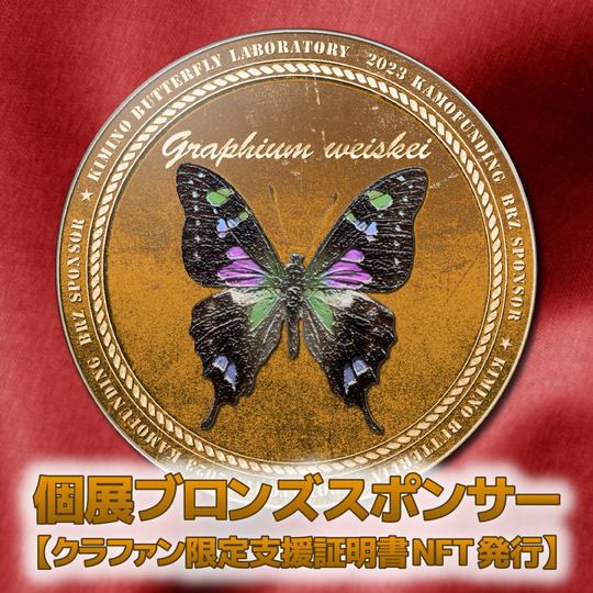 個展ブロンズスポンサー【クラファン限定支援証明NFT発行】