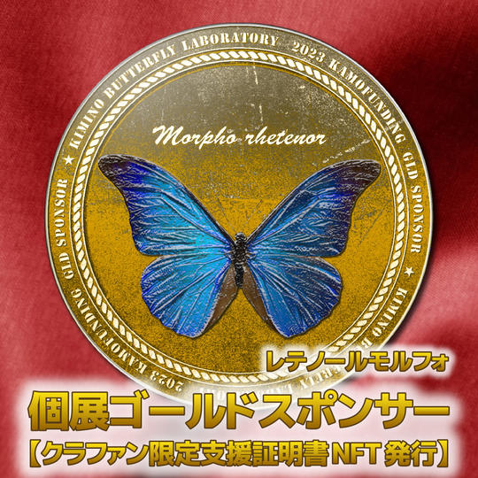 個展ゴールドスポンサー【クラファン限定支援証明NFT発行】( レテノールモルフォ)