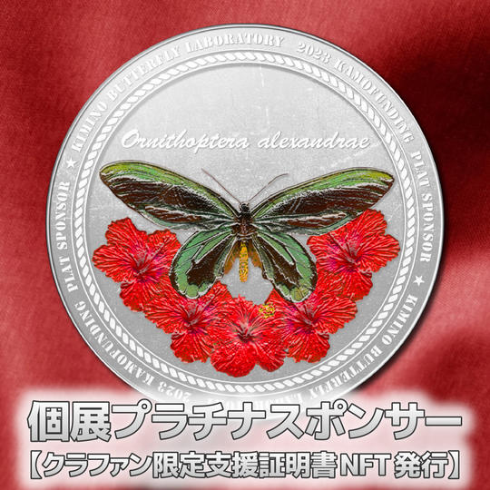 個展プラチナスポンサー【クラファン限定支援証明NFT発行】