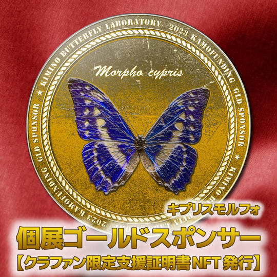 個展ゴールドスポンサー【クラファン限定支援証明NFT発行】( キプリスモルフォ)