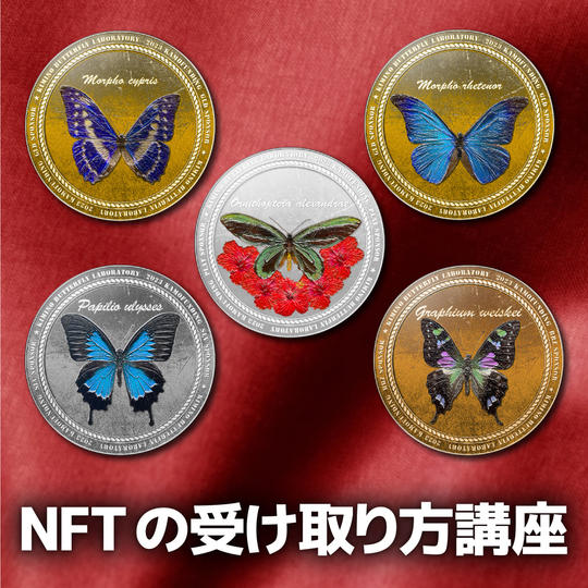NFTの受け取り方講座