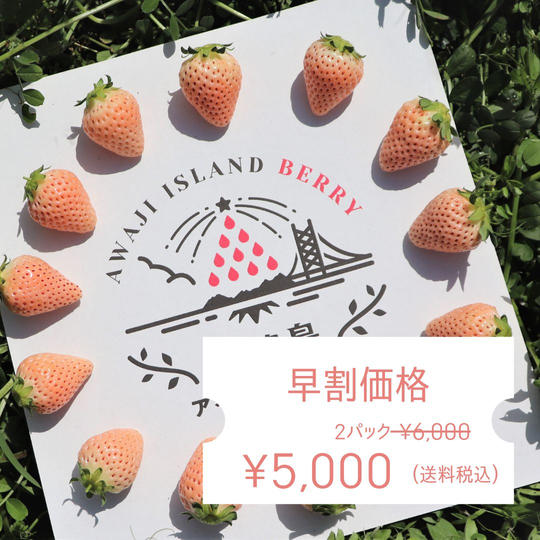 【早割】淡路島から直送!白いちご淡雪2パック送料税込5,000円