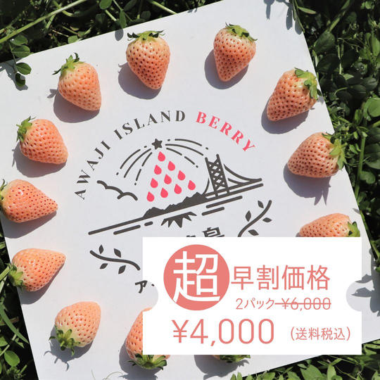【超早割】淡路島から直送!白いちご淡雪2パック送料税込4,000円