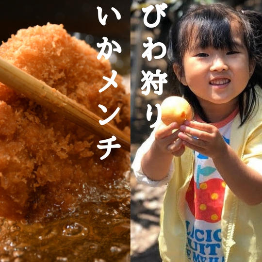 『びわ狩り園内30分食べ放題』お百姓市場びわ園×2名様 & 手作り『いかメンチ』100g×10個【冷凍】