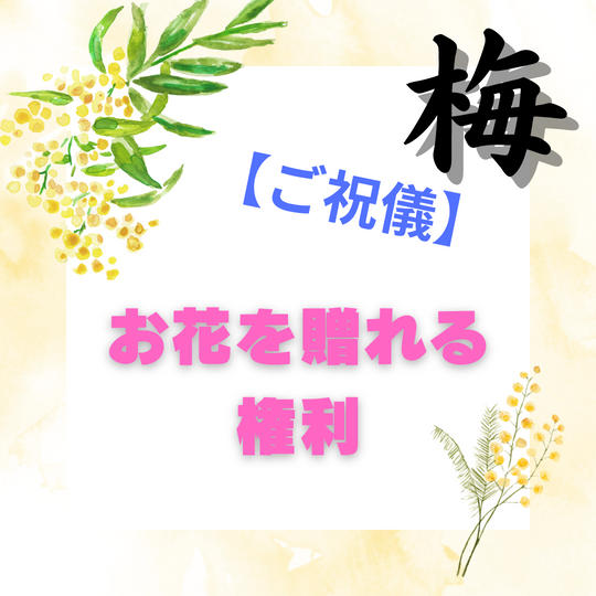 【ご祝儀】お花を贈れる権利（梅）