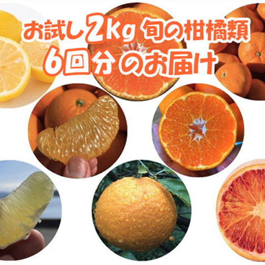 【お試し2kg旬の柑橘類6回分のお届け】中島の柑橘類詰め合わせ