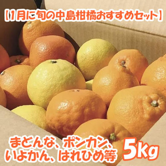 【1月に旬の中島柑橘おすすめセット】