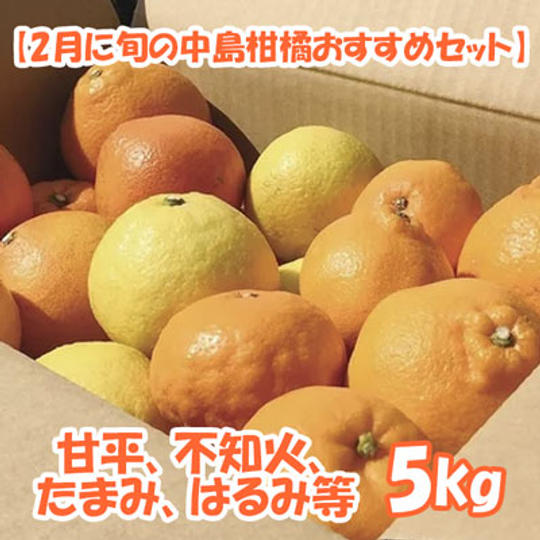 【2月に旬の中島柑橘おすすめセット】