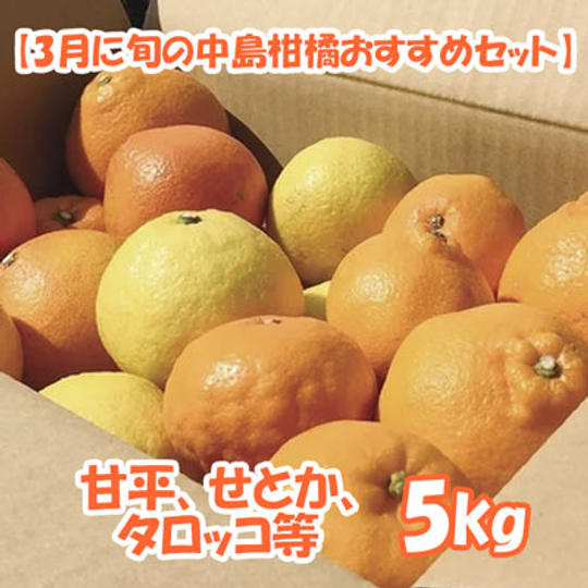 【3月に旬の中島柑橘おすすめセット】