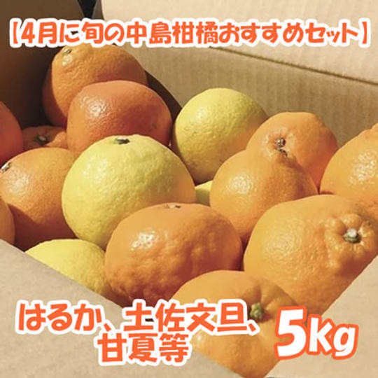 【4月に旬の中島柑橘おすすめセット】