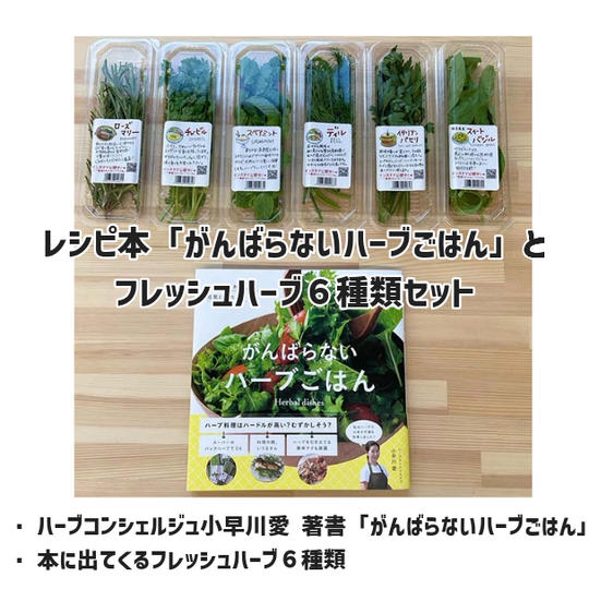 レシピ本「がんばらないハーブごはん」とフレッシュハーブ６種類セット