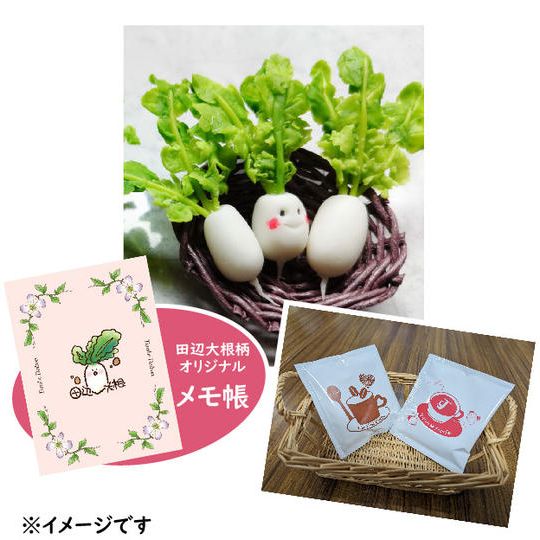 手作り!ミニチュア田辺大根の置物 + 田辺大根メモ帳 + コーヒー2個セット + 田辺大根を使用したレシピデータ
