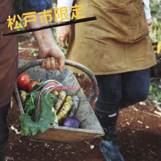 厳選農家の『チョクバイ！BOX』新鮮野菜セット　木曜配送1回分