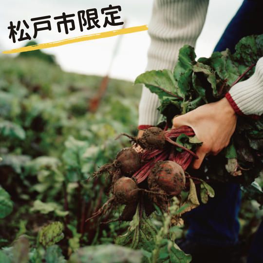 厳選農家の『チョクバイ！BOX』新鮮野菜セット 木曜配送1ヶ月4回分(1回あたり1300円）