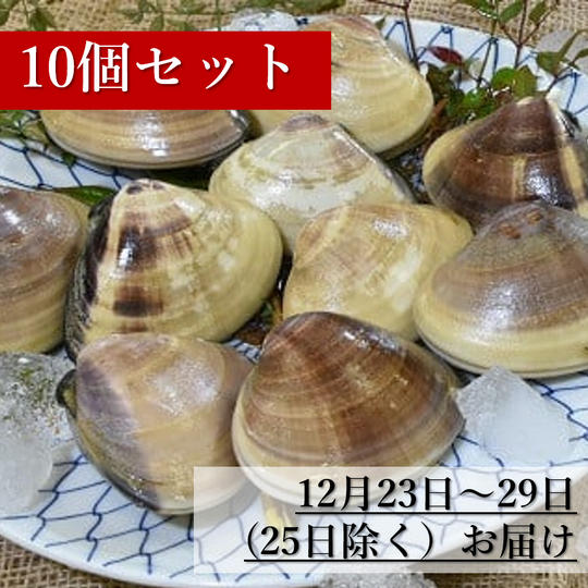 【12月23日～29日(25日除く）お届け】活はまぐり10個セット（冷蔵）