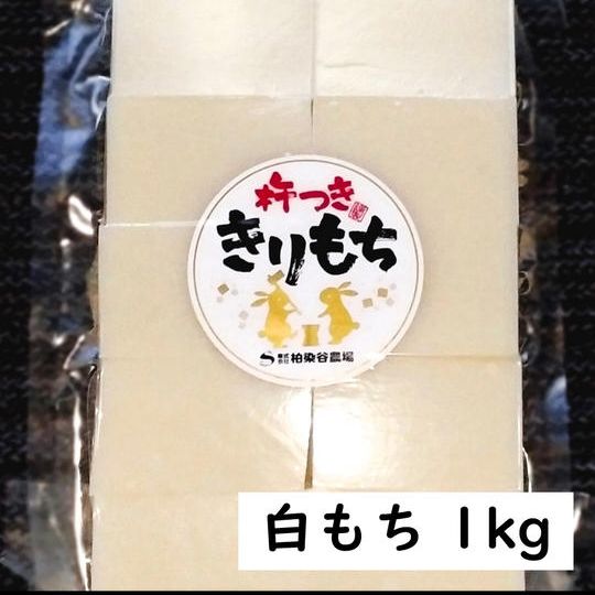 白もち1kg（20個入り）