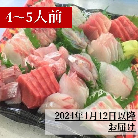 【2024年1月12日以降お届け】鴨川漁港水揚げ地魚刺身盛り合わせ4～5人前（冷蔵）