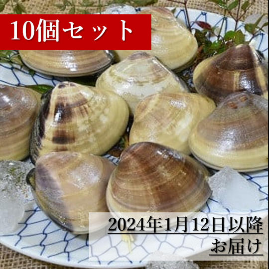 【2024年1月12日以降お届け】活はまぐり10個セット（冷蔵）