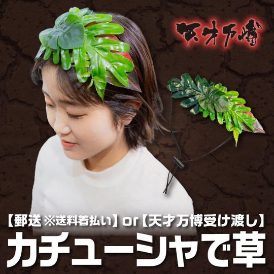 【公式グッズ】カチューシャで草