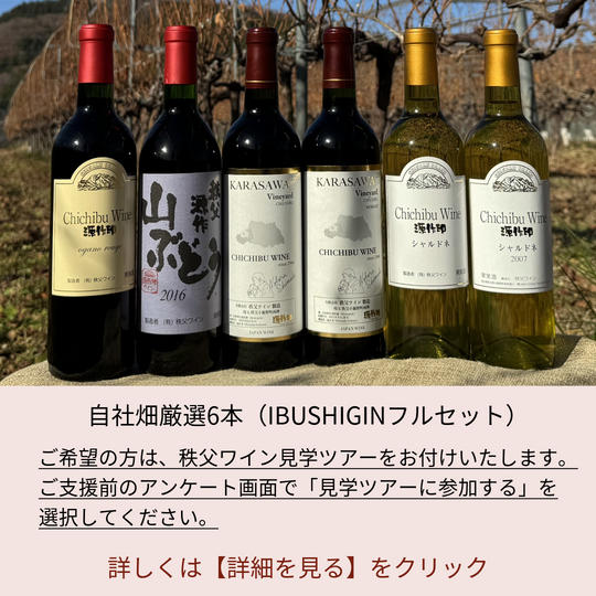 7.IBUSHIGINフルセット