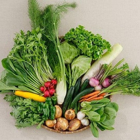 大島農園　春野菜セット