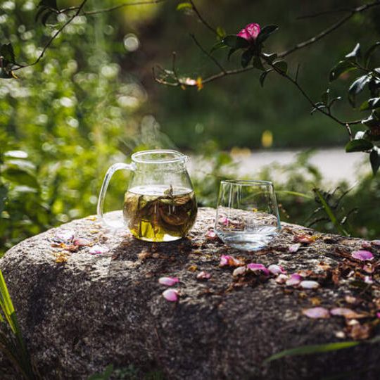 【家から応援】野奏樹さんのハーブティー5パック×3袋（＋お礼のメール）