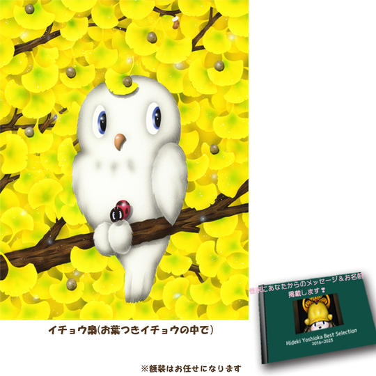 4-⑭ 原画『イチョウ梟(お葉つきイチョウの中で)』+画集1冊+巻末にメッセージとお名前掲載
