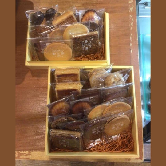 【スタンダードコースB】(郵送・送料込み)