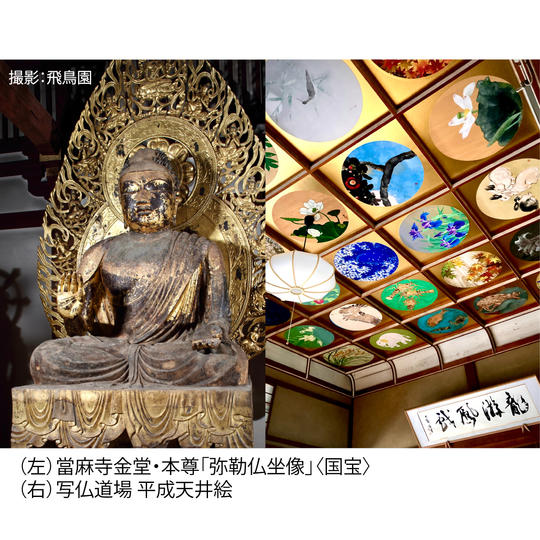 <体験C 2024年10月4日(金)13:00>伽藍三堂と中之坊拝観&絵解きと写仏写経会(所要時間:約160分)