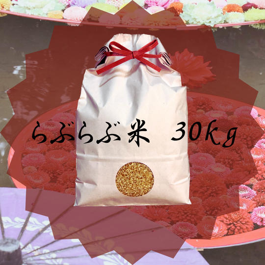 ～愛をこめてシリーズ～「らぶらぶ米（３０キロ）」