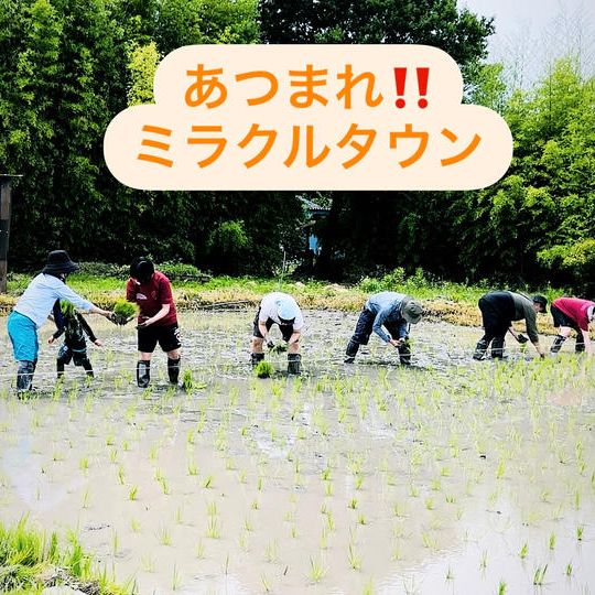 ～あつまれ！ミラクルタウン～みんなで一緒に！田植え体験！