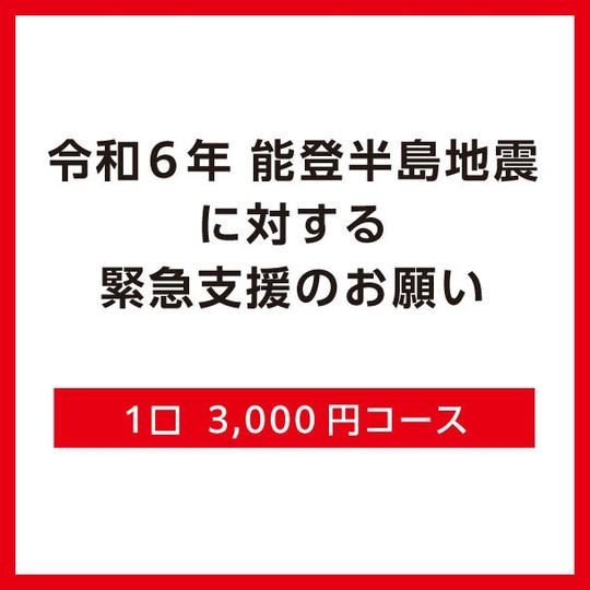1口3,000円コース