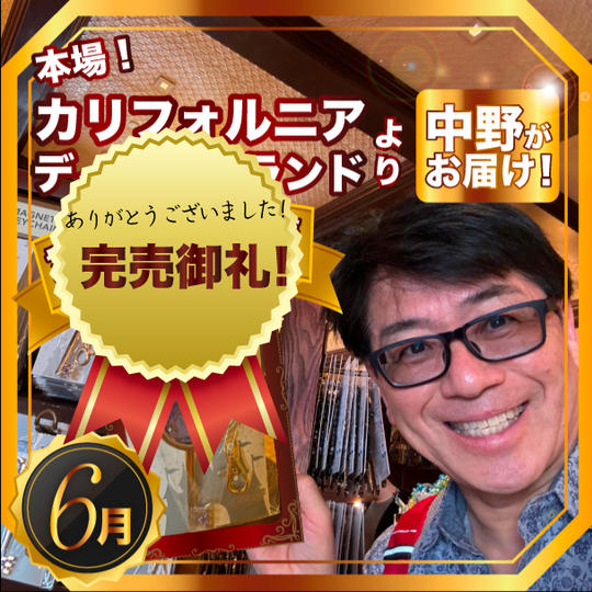 限定2個✴︎本場カリフォルニアディズニーランドで中野が買った！ディズニー100周年 誕生月別キーホルダー【6月】