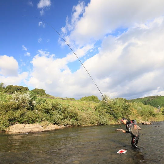大会レポートとお礼メールのご送付
