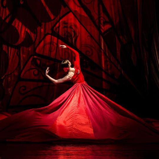 全日程（８回）の公演ペアチケット（合計16枚）＆本番前リハーサル鑑賞＆公演後の記念撮影