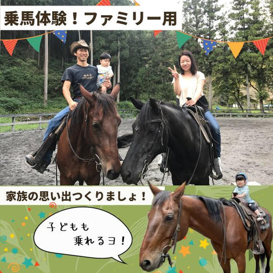乗馬体験！(ファミリー用)家族４人まで、乗馬体験ができます。