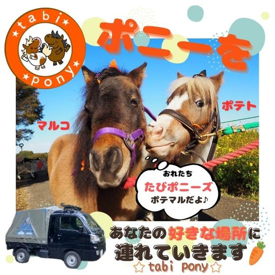 ポニーをあなたの好きな場所に連れていきます！