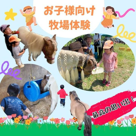 お子様向け！ポニーと牧場体験！