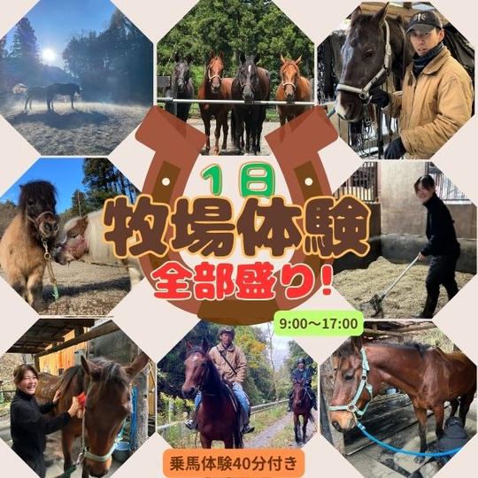 1日牧場体験！全部盛り！