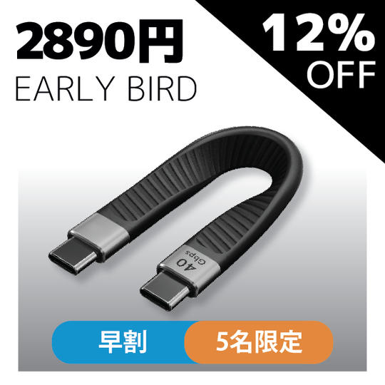 早割12%OFF【5名限定】Flex USB4 x 1本