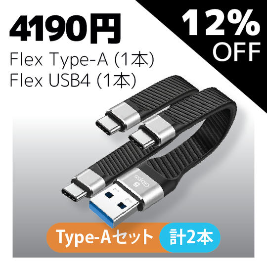 【TypeAセット・12%OFF】Flex USB4 とType-A × 計2本