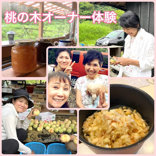 たわわの里の桃の木オーナー体験